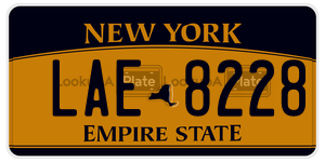 LAE8228  license plate in NY