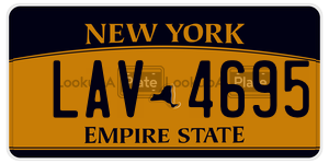 LAV4695  license plate in NY