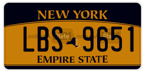 LBS9651  license plate in NY