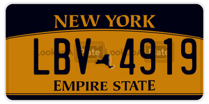 LBV4919  license plate in NY