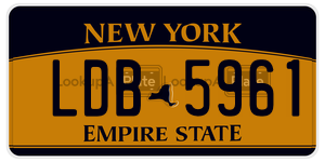 LDB5961  license plate in NY