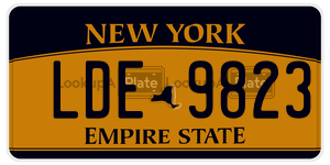 LDE9823  license plate in NY
