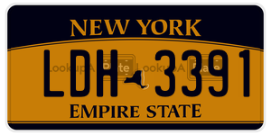 LDH3391  license plate in NY