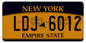 LDJ6012  license plate in NY