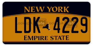 LDK4229  license plate in NY