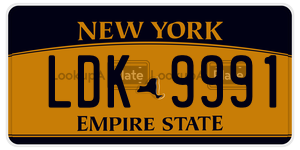 LDK9991  license plate in NY