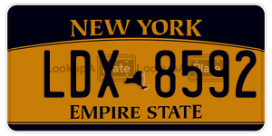 LDX8592  license plate in NY