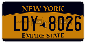 LDY8026  license plate in NY