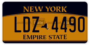 LDZ4490  license plate in NY