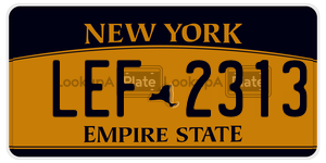 LEF2313  license plate in NY