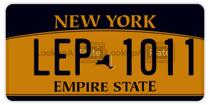 LEP1011 license plate in New York