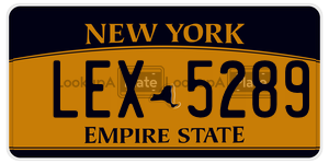 LEX5289  license plate in NY