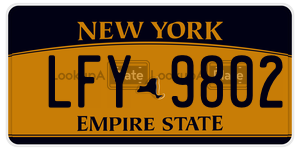LFY9802  license plate in NY