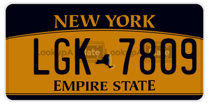 LGK7809  license plate in NY