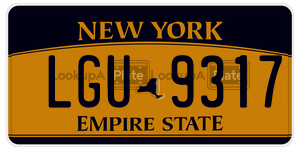 LGU9317  license plate in NY