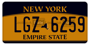 LGZ6259  license plate in NY