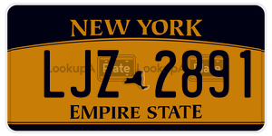 LJZ2891  license plate in NY