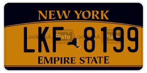 LKF8199 license plate in New York