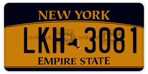 LKH3081  license plate in NY