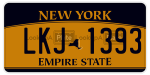 LKJ1393  license plate in NY