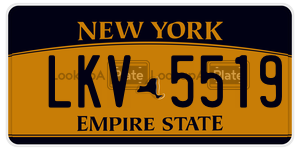 LKV5519  license plate in NY