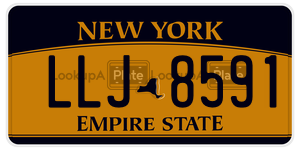 LLJ8591  license plate in NY