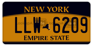 LLW6209  license plate in NY