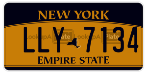 LLY7134 license plate in New York