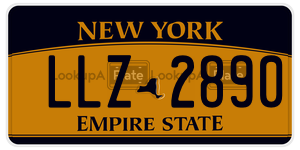 LLZ2890  license plate in NY