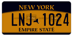 LNJ1024 license plate in New York