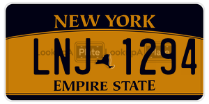 LNJ1294 license plate in New York
