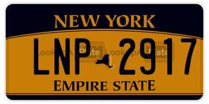 LNP2917  license plate in NY
