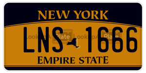 LNS1666 license plate in New York