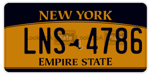 LNS4786  license plate in NY
