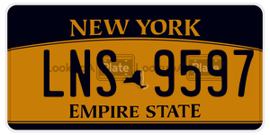 LNS9597 license plate in New York