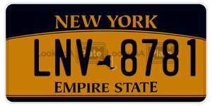 LNV8781  license plate in NY