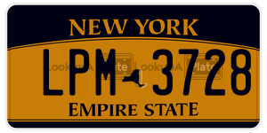 LPM3728  license plate in NY