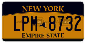 LPM8732  license plate in NY