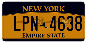 LPN4638  license plate in NY