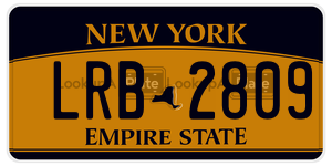 LRB2809  license plate in NY
