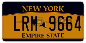 LRM9664  license plate in NY