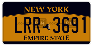 LRR3691  license plate in NY