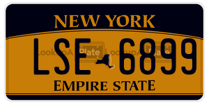 LSE6899 license plate in New York