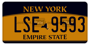 LSE9593  license plate in NY