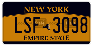 LSF3098  license plate in NY