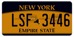 LSF3446  license plate in NY