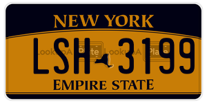 LSH3199  license plate in NY