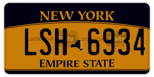 LSH6934  license plate in NY