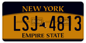 LSJ4813  license plate in NY