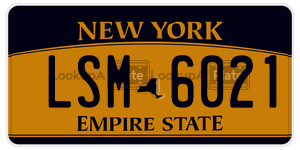 LSM6021  license plate in NY
